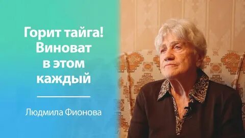 Виновато каждый
