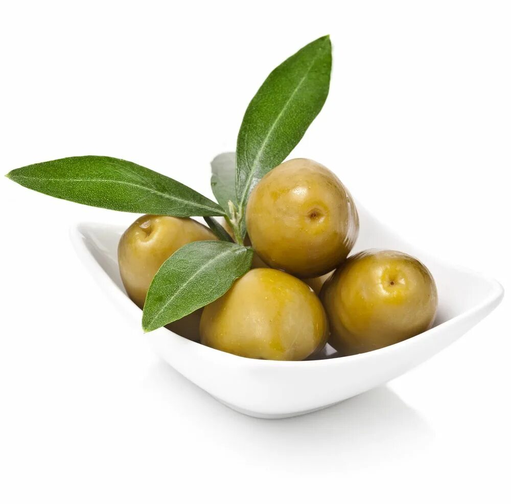 Olive white. Оливки на белом фоне. Olive white. Оливковое дерево. Olive white.