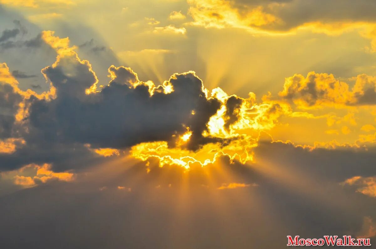 Облака закрылись. Облака закрылись. Тучи закрывают солнце. Пасмурно с прояснениями. Тучи закрывают солнце.