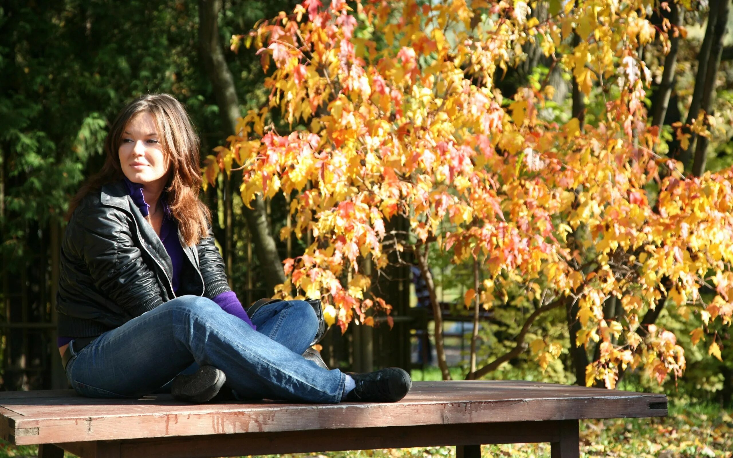 Молодой девушка сидят лице. Девушка осень. Осенняя фотосессия в парке. Девушка в парке.