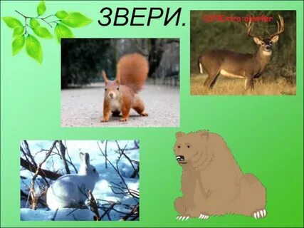 Как животные питаются 3 класс окружающий