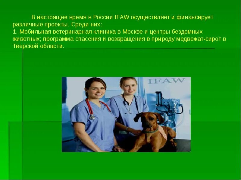 Ветеринария презентация. Ветеринар презентация. Ветеринар в современном мире. Презентация ветклиники. Ветеринар планета свет