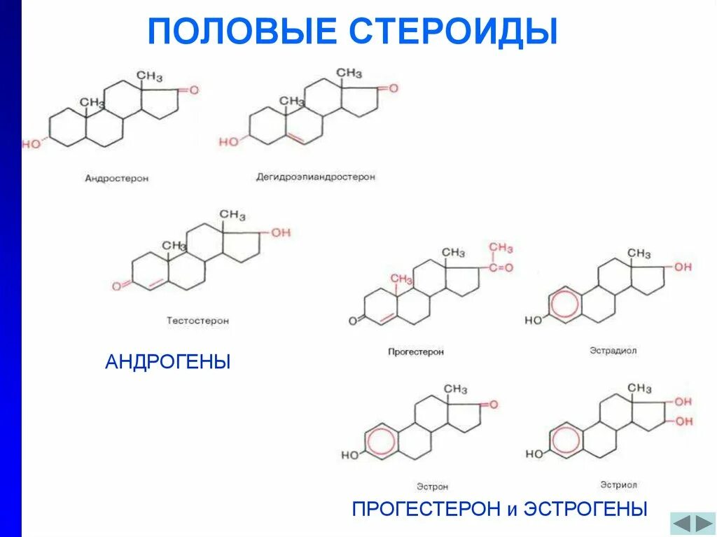 Характеристика стероидов. Стероиды функции биология. Структура и биологическая роль стероидов. Характеристика стероидов. Химическая структура стероидных гормонов.