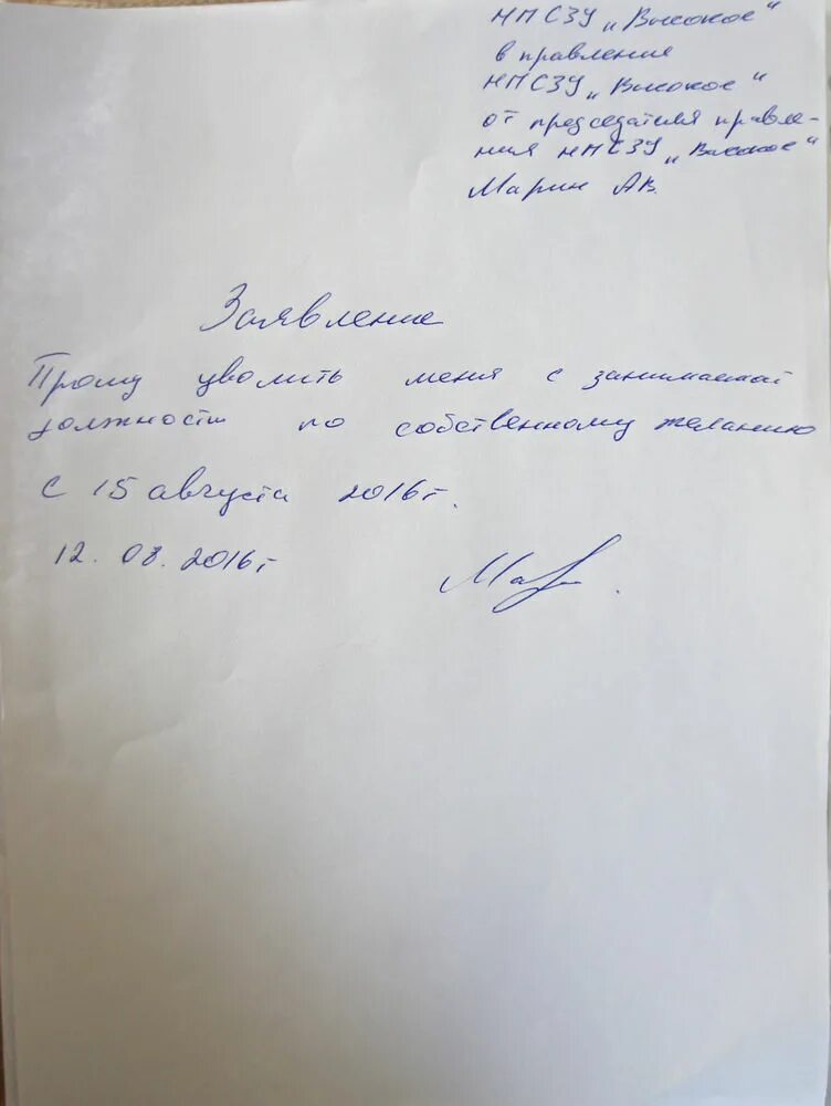 Заявление на увольнение воспитатель. Заявление на увольнение. Заявление на увольнение по собственному желанию из детского сада. Заявление на увольнение по собственному желанию в детском саду. Заявление на увольнение заведующей детского сада.