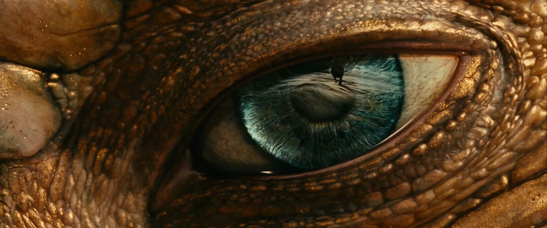 Dragon eye перевод. Хроники Нарнии дракон. Глаз дракона. Зрачок дракона. Глаз динозавра.
