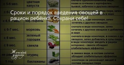 Когда можно вводить свеклу