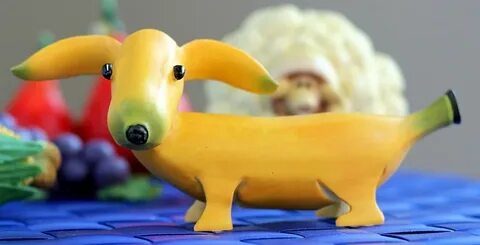 Фрукты овощи животные