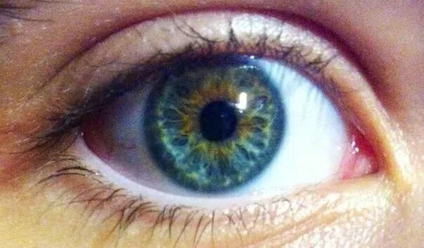 Глаза хамелеоны у человека. Цвет глаз хамелеон. Эйдана глаза хамелеон. Серо зеленые глаза хамелеон. Цвет глаз хамелеон у человека.
