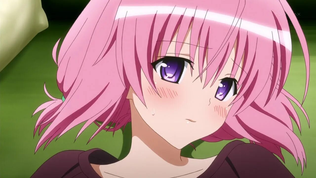 МОМО Девилюк. Любовные неприятности МОМО. МОМО Саталин Девилюк. To Love ru Momo Deviluke. Http love ru