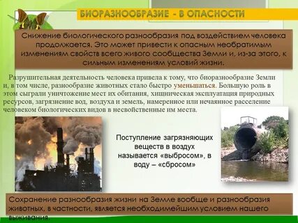 Сброс сохранить