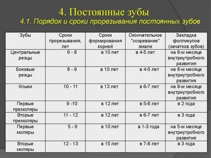 Время развития адрес