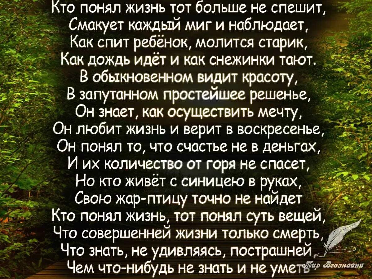 Стихотворение лучшая жизнь. Стихи о жизни. Стихи о жизни со смыслом. Хорошие стихи о жизни. Красивые стихи о жизни.