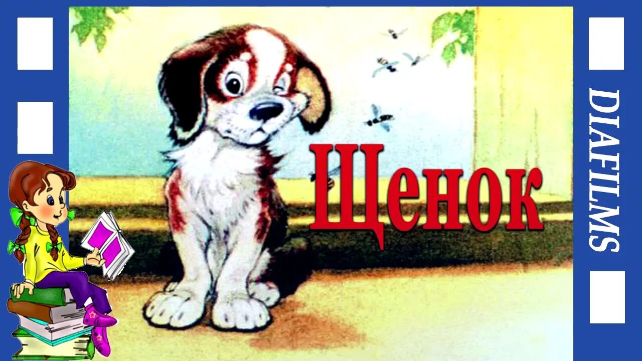 Мой щенок похож немного на бульдога. Мой щенок похож немного. Михалков с. Щенок моего детства. Мой щенок похож немного слушать.