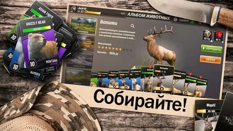 Охота коды