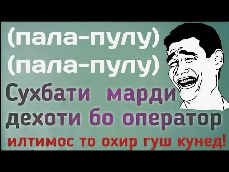 Папа пуп