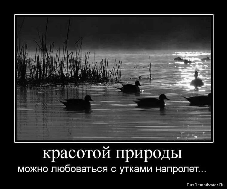 Дети радость жизни. Природой можно восхищаться. Наслаждаться природой. Природой можно восхищаться. Рассвет любовь.