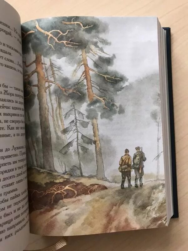 Читать книгу сашка. Кондратьев вячеслав леонидович сашка. сашка вячеслав кондратьев книга. вячеслав кондратьев, «сашка. отпуск по ранению».. вячеслав кондратьев повесть сашка иллюстрации.