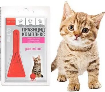 С какого возраста от блох котятам