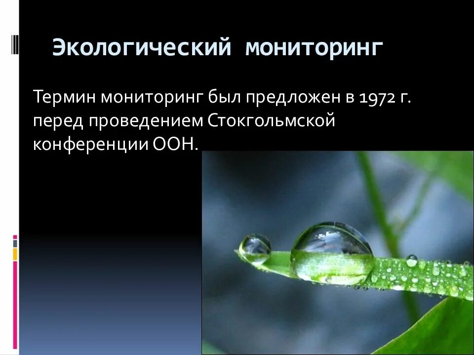 3 мониторинг окружающей среды. Экологический мониторинг. экологический мониторинг окружающей среды. мониторинг состояния окружающей среды. мониторинг это в экологии.