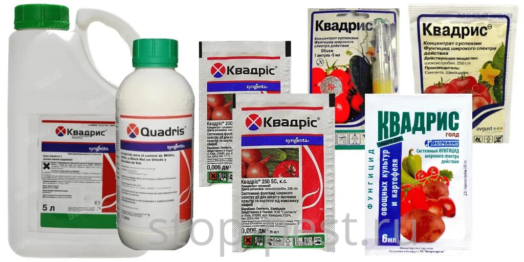 Квадрис 10 мл. Препарат квадрис для винограда. Квадрис 6 мл. Квадрис фунгицид инструкция по применению отзывы. Квадрис фунгицид инструкция по применению отзывы.