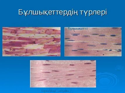 Супер сексуалды латина порно hd видео