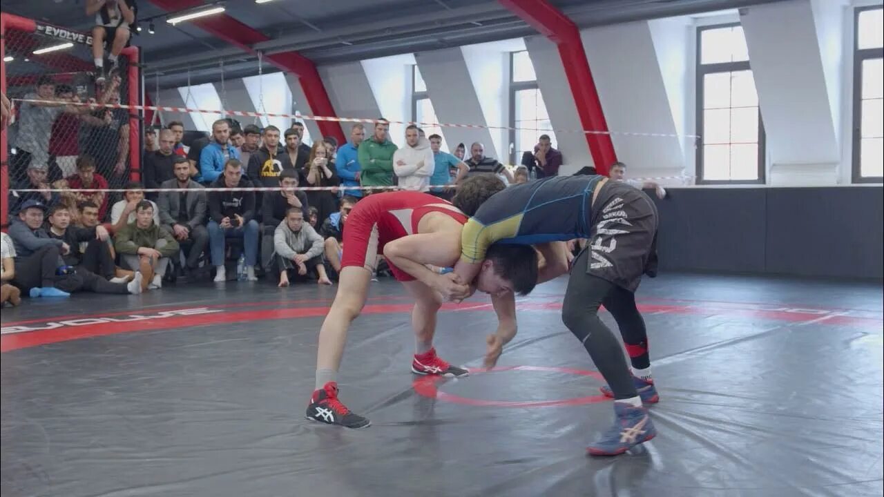 Владимир котельников грэпплинг. Evolve wrestling. Limitless wrestling. Evolved wrestling. Evolved fights mixed.