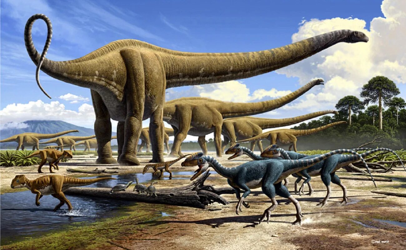 Маменчизавр динозавр. Зауроподы Юрского периода. Травоядные динозавры Юрского периода. Травоядные динозавры зауроподы.