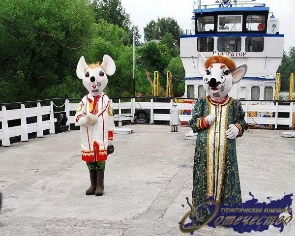 Городское поселение мышкин. Здоровье мышкин. Здоровье мышкин. Мышкинский центр туризма «мышкины палаты». Мышкин ярославская область.