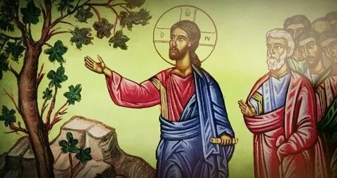 Под горой смоковница