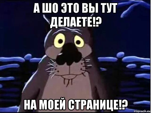 Оставить тут
