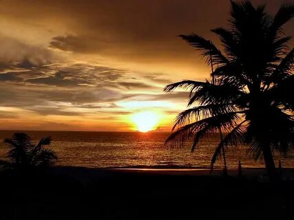 Sunset beach отзывы