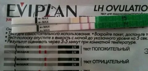 14 день цикла