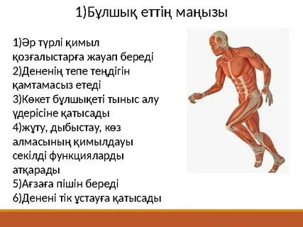 Венгр аққұба Сэндиден алынған минет