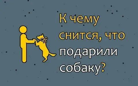 Видеть во сне убитую собаку: найдено 87 картинок