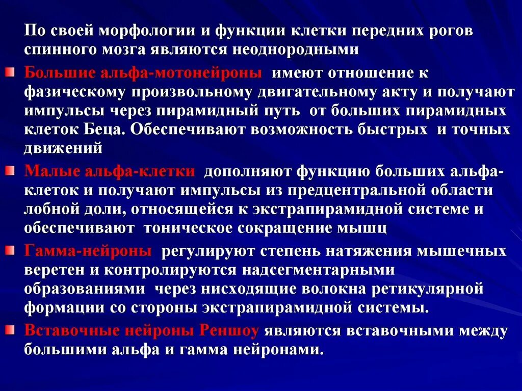 Функции вставочных нейронов спинного мозга. Функции вставочных нейронов спинного мозга