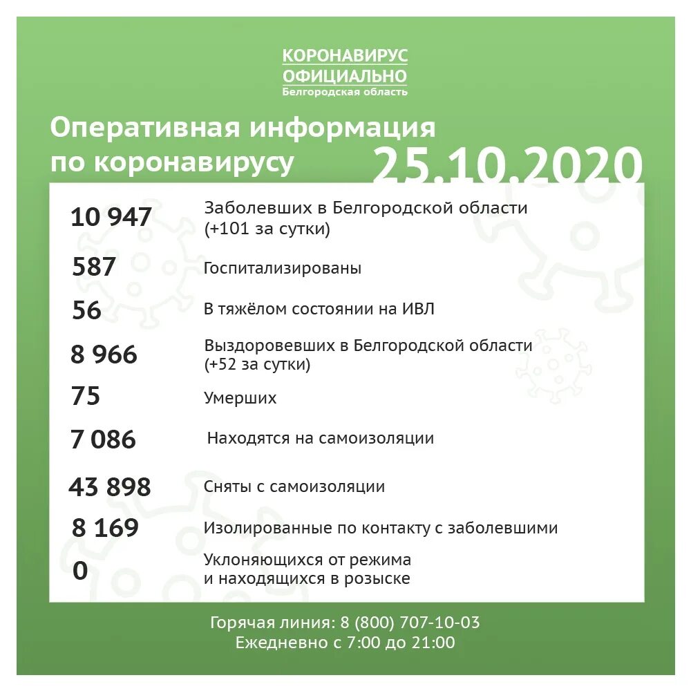 Белгородской области сколько заболела. Коронавирус в Белгородской области. Белгородская область. Коронавирус в Белгородской области на сегодня. Коронавирус Белгород по районам.