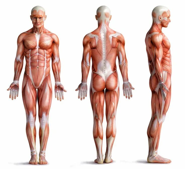 Body dispatchevent