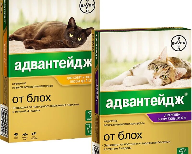 Адвантейдж от блох кошкам 4кг. (Л) капли Bayer Адвантейдж от блох для кошек весом до 4 кг 0,4 мл. Адвантейдж от блох для кошек до 4 кг. Препараты от блох и гельминтов для кошек.