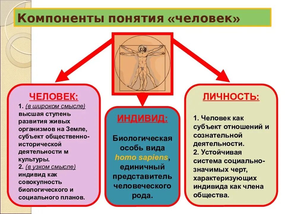 Человек индивид личности определение. Понятие человек индивид личность. Взаимосвязь понятий человек индивид личность индивидуальность. Раскройте понятие индивид индивидуальность личность. Человек индивид чилночть.