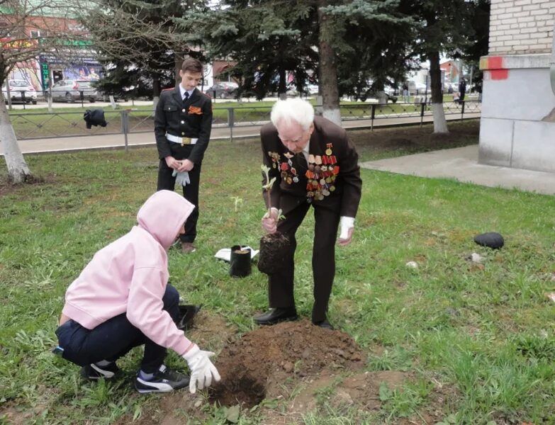 Акция памяти мы вместе. Ветераны сажают деревья. Дерево ветерану акция посади. Ветераны Калужской области. Дерево в честь ветерана.