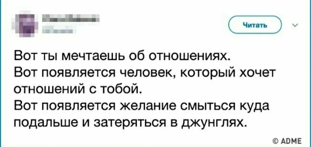 И вот появился в моей жизни павлик