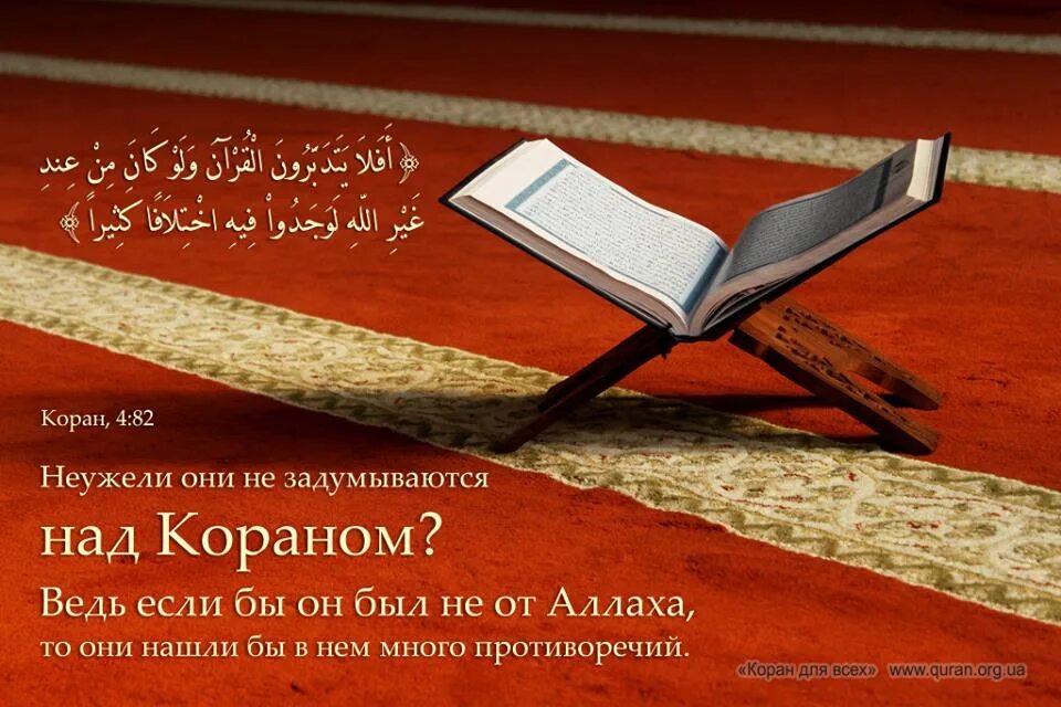 Книга всевышнего. Неужели они не размышляют над Кораном. Размышление над Кораном. Размышляйте над Кораном. Коран для размышляющих.