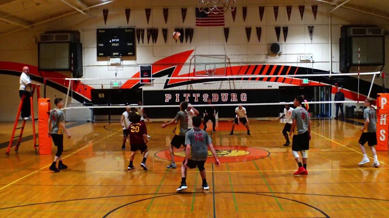 Львы про волейбол. Лев волейбол. the lions волейбол. лев волейбол в реальной жизни.