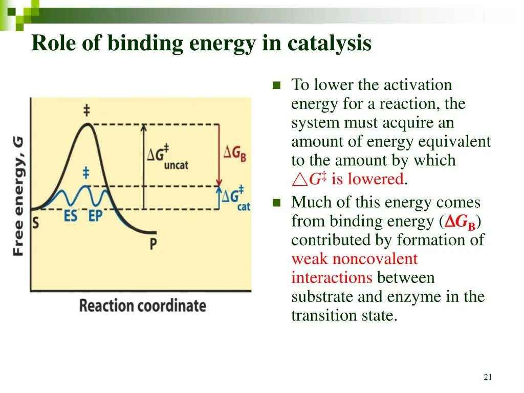 Binding Energy. What is Binding Energy. Specific Binding Energy. Table of Binding Energy. 6 3 литий энергия связи