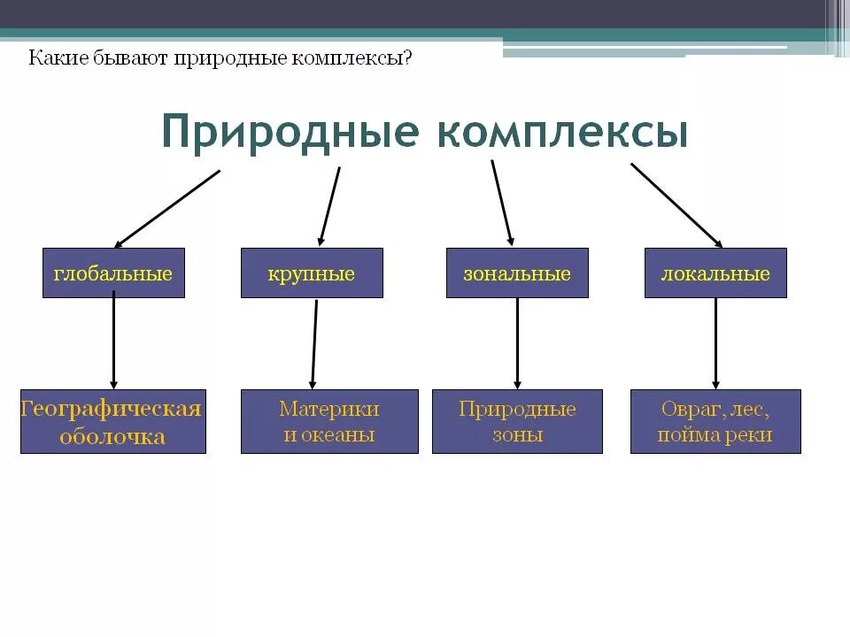 Какие комплексы распространены. Природные комплексы. Какие бывают природные комплексы. Виды природных комплексов. Схема природного комплекса.