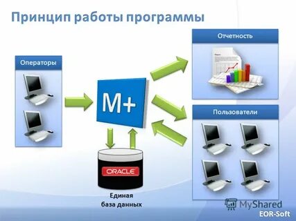 Единая отчетность
