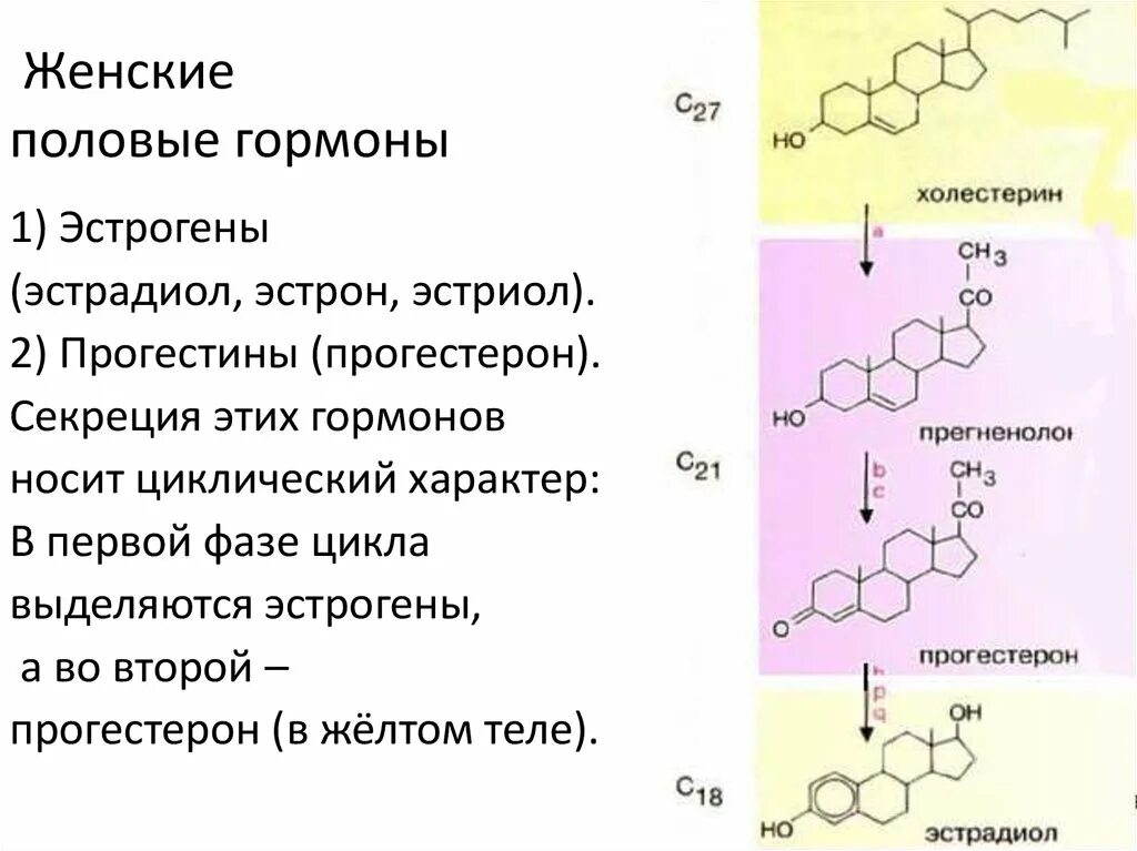 Женские половые гормоны. Половые гормоны у женщин. Женские гормоны название. Название женских половых гормонов.