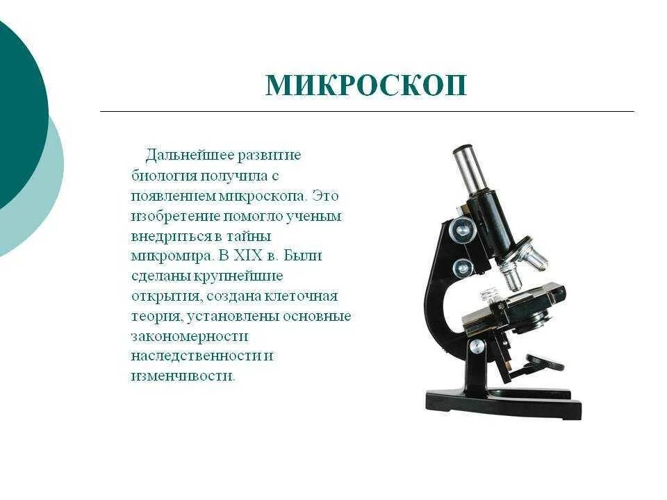 Изобретший микроскоп. Изобретение микроскопа. открытие микроскопа. история создания микроскопа. информация про микроскоп.