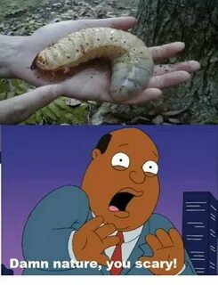 Scary memes