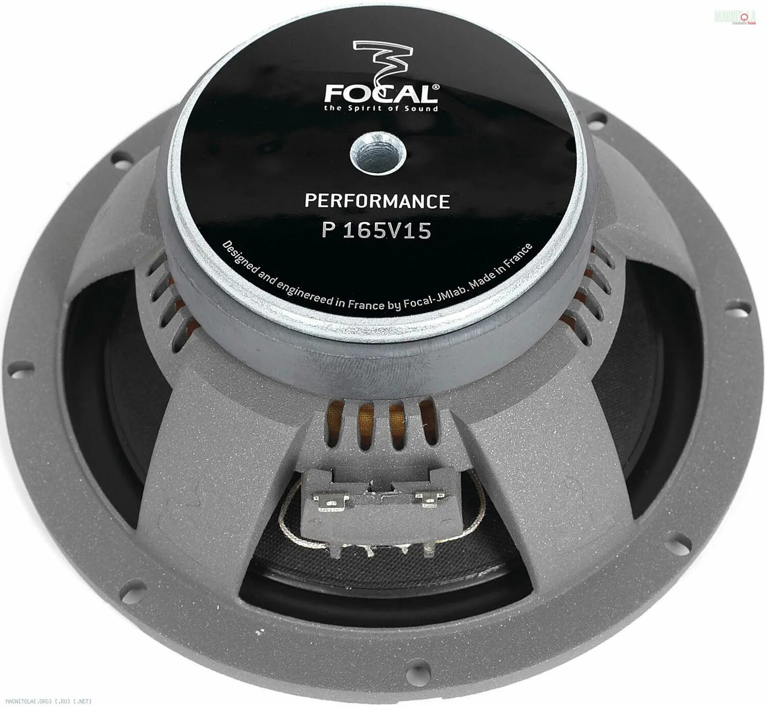 Focal performance ps 165 f. Focal performance. Фокал перфоманс ps 165. Performance ps 165f. Фокал перфоманс ps 165 fx.